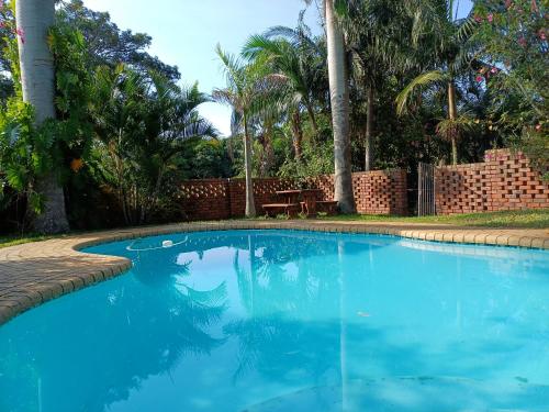a swimming pool with blue water in a yard at Travelers Nest in St Lucia