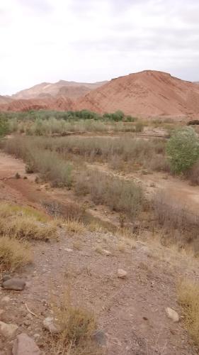 a dirt road in the desert with hills and bushes at Kasbah Tialouite in Kalaat MGouna