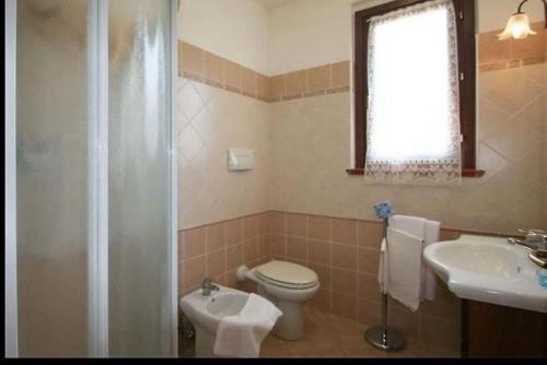 a bathroom with a toilet and a sink and a shower at La Mandriana in Massa Marittima