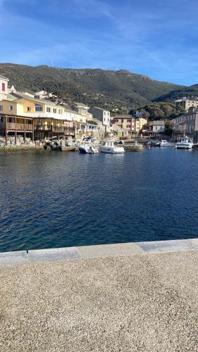 a group of boats in a harbor with buildings at Chambres hôtes chez Fernand in Centuri