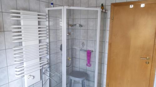 a bathroom with a shower with a toilet in it at Luxus-Wohnung mit Garten, Terrasse & Wall-Box bei Dinkelsbühl in Dinkelsbühl