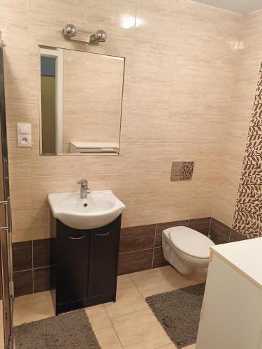 La salle de bains est pourvue d'un lavabo, de toilettes et d'un miroir. dans l'établissement Apartament na Cichej, à Polanica-Zdrój