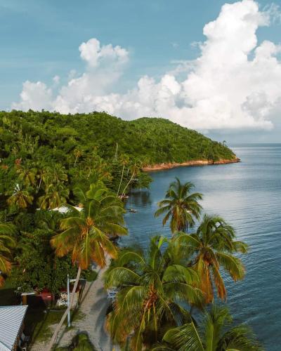 an island in the ocean with palm trees at POSADA ALEENY in Providencia