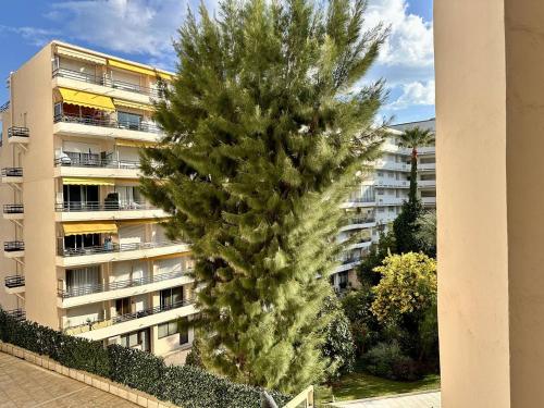 un pin devant un bâtiment dans l'établissement Cannes La Croisette - Studio au calme coté jardin, à Cannes