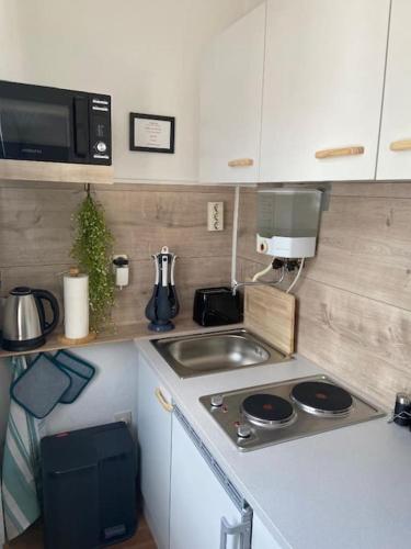 マールにあるgemütliches Apartment in Marl - WG 1のシンクと電子レンジ付きの小さなキッチン