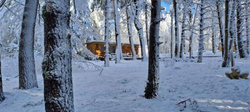uma cabana de madeira na neve numa floresta em Chalet papillon Domaine de la Mamounette em Boussoulet
