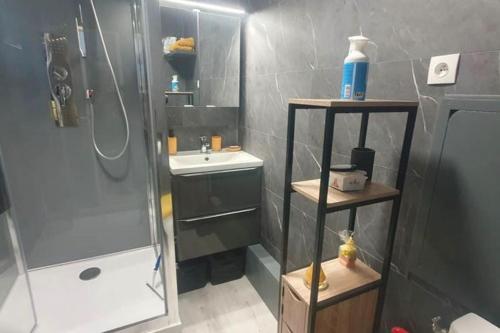 baño pequeño con ducha y lavamanos en Appartement front de mer - 6198, en Soulac-sur-Mer