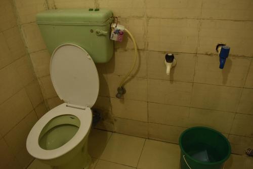 ein Badezimmer mit grünem WC und einem Mülleimer in der Unterkunft Dooars Nest Resort Rahutbari in Chālsa Mahābāri
