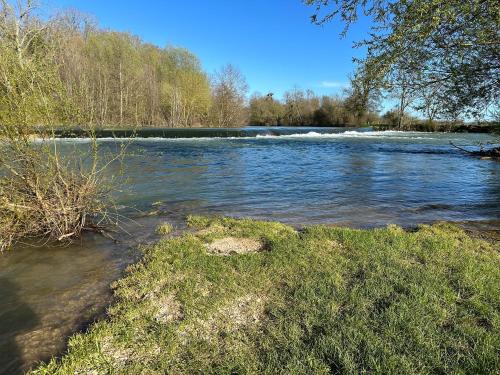 a river with some grass and some water and trees at Maison spacieuse à Saint-Florentin, 138 m², avec jardin in Saint-Florentin