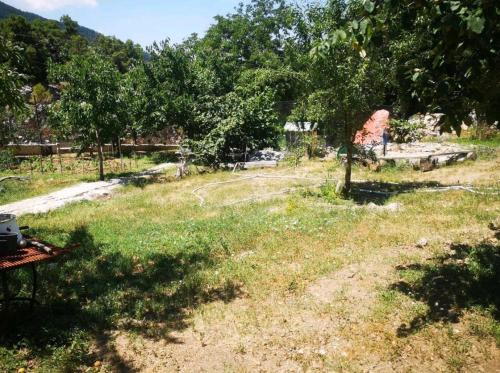 a field of grass with a picnic table and trees at Canerbey Çiftlik Dağ Evi 2 in Ovacık