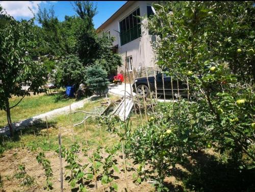 a garden in front of a house with trees at Canerbey Çiftlik Dağ Evi 2 in Ovacık
