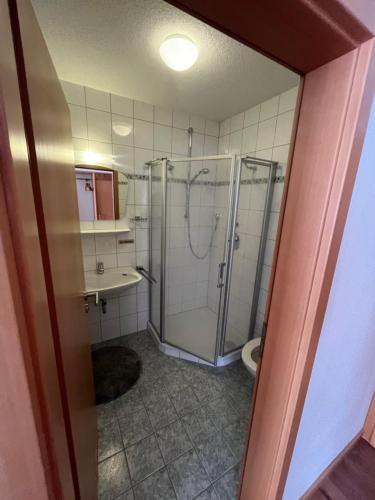 a bathroom with a shower and a toilet at Ferienwohnung-Blume EG 2 in Wolfach