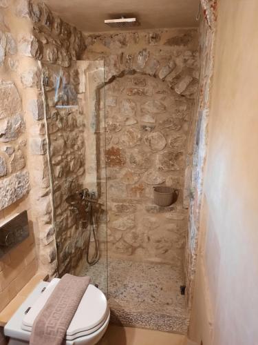 a bathroom with a toilet and a stone wall at Studio Tsiliviani in Loukádhika