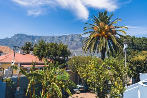 a palm tree with mountains in the background at Villa Viva Cape Town in Cape Town