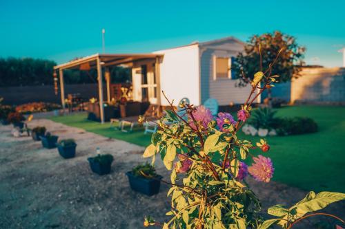 Κήπος έξω από το Palmaradise