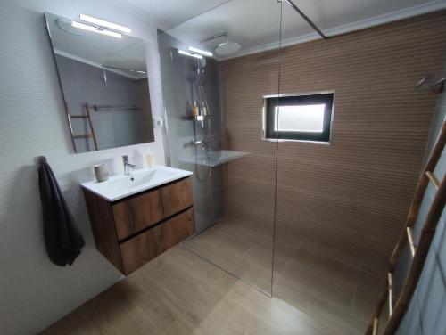 a bathroom with a sink and a shower with a mirror at Vila Nova Guest House in Mértola