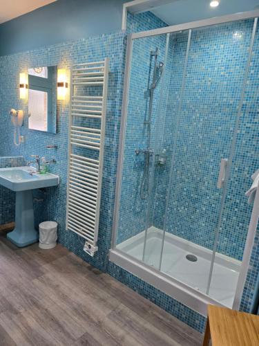 a bathroom with a shower and a sink at Le Castel Guesthouse in Bayeux