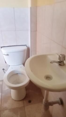ein Badezimmer mit einem weißen WC und einem Waschbecken in der Unterkunft Hospedaje PARAISO in Ayacucho