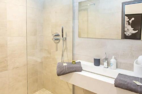 une salle de bain avec une douche avec un lavabo et un miroir dans l'établissement AMAZING LARGE 1-BEDROOM, à Cannes