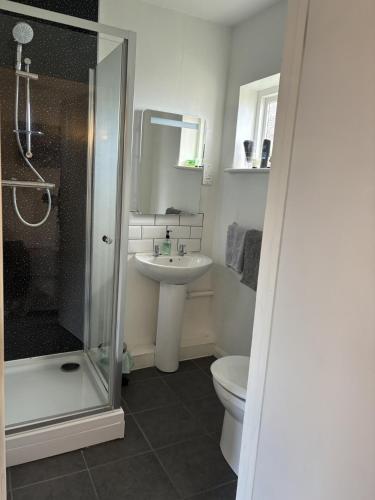 a bathroom with a shower toilet and a sink at The Half Moon Inn Rushall IP21 4QD in Pulham Saint Mary the Virgin