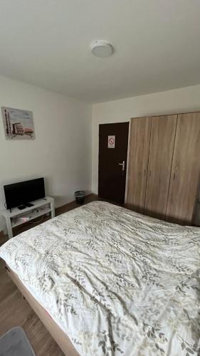 a bedroom with a large bed and a desk at villa Antonijevic in Brestovac