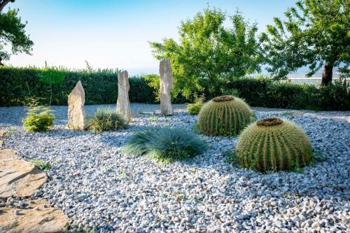 a garden with cacti and rocks and trees at Tenuta Pietravera in Furnari
