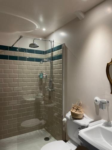 une salle de bain avec une douche, des toilettes et un lavabo dans l'établissement Château de la Huberdière, à Nazelles-Négron