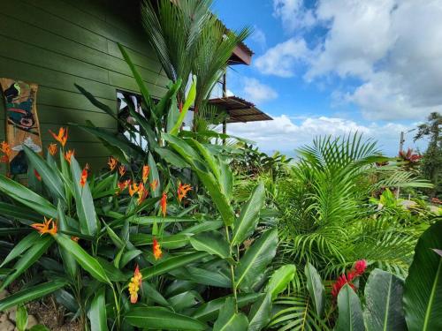 Сад в Cabañas Caeli, La Perezosa, La Fortuna Rainforest Glass Cabin w Amazing Views