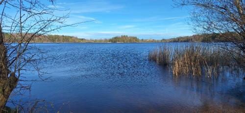 a large body of water with trees in the background at Ferienhaus Resch in Laufen