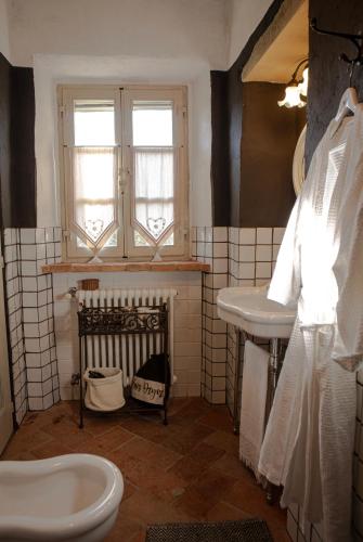 a bathroom with a sink and a toilet at Podere Cavalbianco in Ciggiano