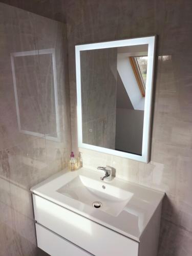 a bathroom with a white sink and a mirror at Gîte Notre-Dame in Saint-Riquier