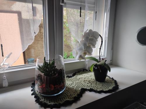 a window sill with a glass vase and a plant at Chez Dori Chambre privée in Bischheim