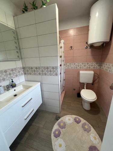 a bathroom with a toilet and a sink at Apartments Jagodje in Izola