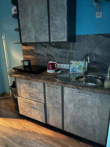 a kitchen with a sink and a counter top at Dzērves apartamenti in Nastrova