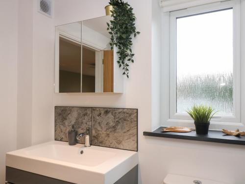 a bathroom with a sink and a mirror and a window at Tractor Shed in Penryn