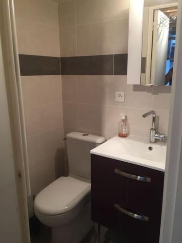 une salle de bain avec des toilettes blanches et un lavabo dans l'établissement Tiny house avec terrasse, à Versailles