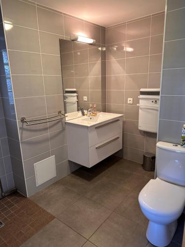 アラッシュ・ラ・フラスにあるGite La Frasse - Treydonのバスルーム(トイレ、洗面台、鏡付)