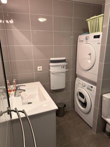 a bathroom with a washing machine and a sink at Gite La Frasse - Treydon in Arâches-la-Frasse