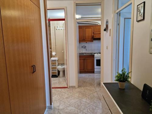 W pokoju znajduje się łazienka z umywalką i toaletą. w obiekcie Apartman Neva ,prostrani stan u blizini mora w Puli