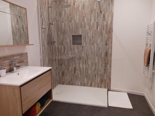 a bathroom with a shower and a sink at T2 + terrasse - Au cœur de tout in Gignac