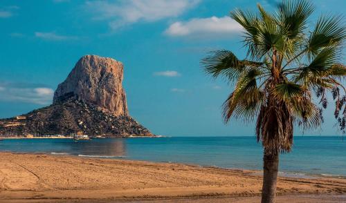 a palm tree on a beach with a rock in the ocean at Apolo 7 central 200 meter from beach in Calpe