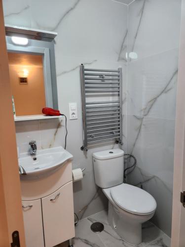 a bathroom with a toilet and a sink at Vila Reghina in Alba Iulia