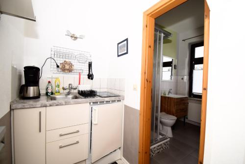 Il comprend une petite cuisine avec un lavabo et des toilettes. dans l'établissement Villa Margarete, à Sassnitz