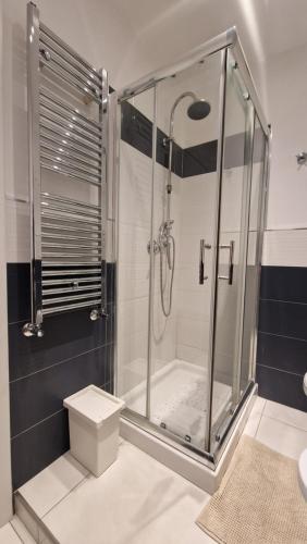 a shower stall in a bathroom with a toilet at LG colosseum Rome apartment in Rome