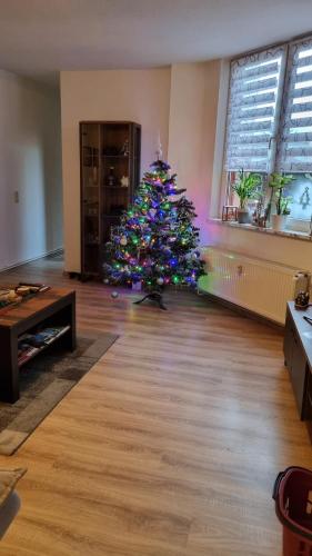 a christmas tree in the middle of a living room at Lehn dich zurück in Mühlhausen