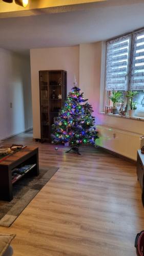 a christmas tree in the middle of a living room at Lehn dich zurück in Mühlhausen