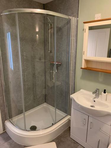 a bathroom with a shower and a toilet and a sink at Bryndegwel in Saint Dogmaels, cardigan- river views, Free parking in Cardigan