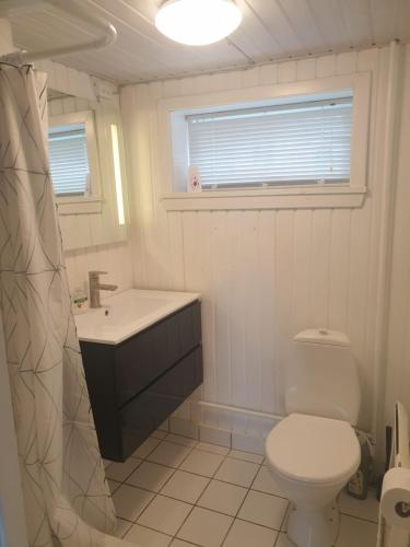 uma casa de banho com um lavatório, um WC e uma janela. em Hyttan em Åkirkeby