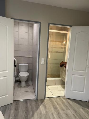 a bathroom with a toilet and a walk in shower at Maison Galland in Lapalisse