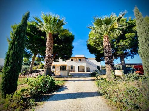 a house with palm trees in front of a driveway at Casale Laurus in Locogrande